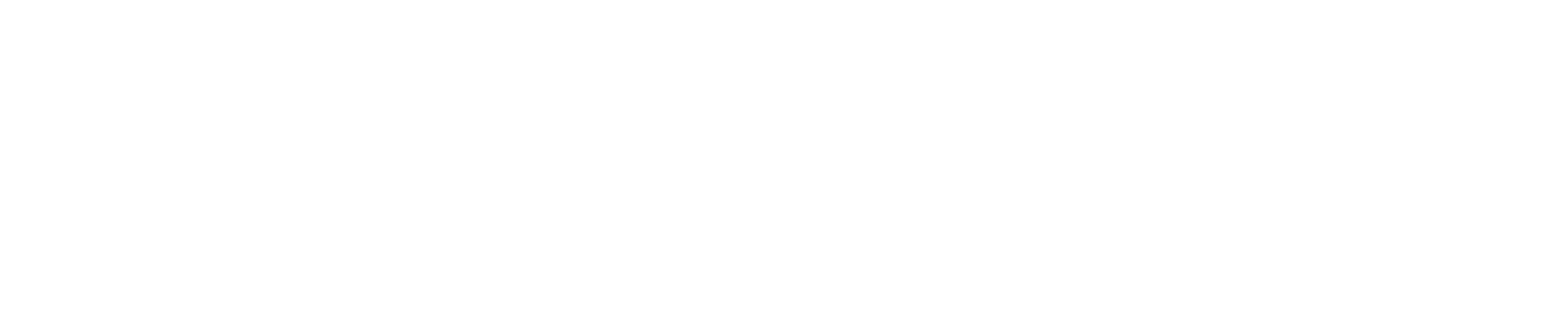 logo trentini white